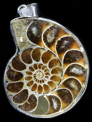 Fossil Ammonite Pendant - Million Years Old #37888